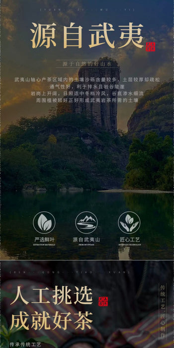 شاي ووي يان «فوشو» من سيدني، شاي أولون «دا هونغ باو»، معبأ في علبة حديدية، منتج أصلي من المنشأ، عينة تذوق ذات رائحة قوية